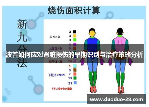波普如何应对肾脏损伤的早期识别与治疗策略分析