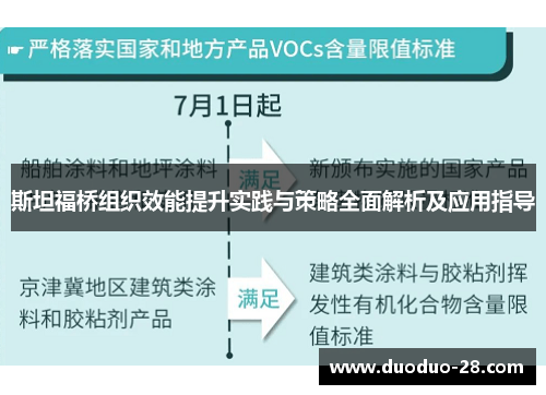 斯坦福桥组织效能提升实践与策略全面解析及应用指导